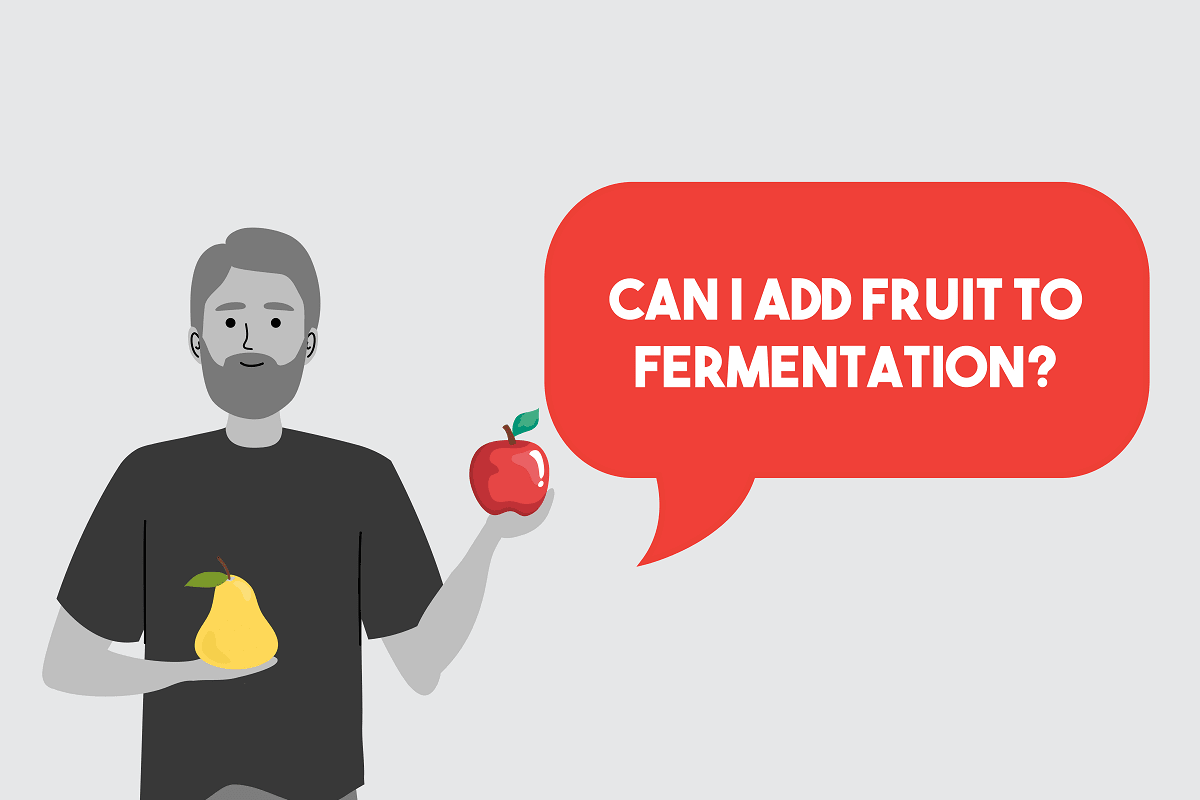 Adding fruit to primary fermentation for beer or cider