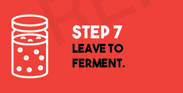 How to brew beer step seven: LEave to ferment