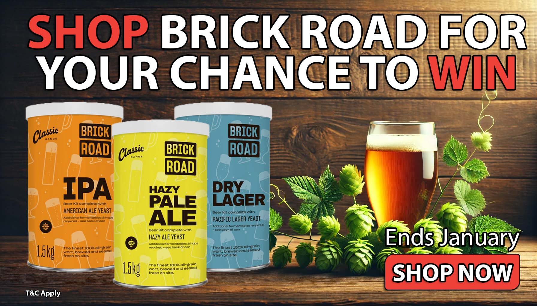 Home Brew Republic - Brick Road Promo Jan25